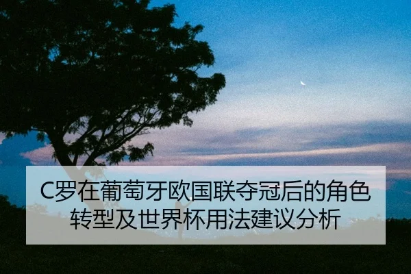luo-zai-pu-tao-ya-ou-guo-lian-duo-guan-hou-de-jue-se-zhuan-xing-ji-shi-jie-bei-yong-fa-jian-yi-fen-xi-2-916.jpg